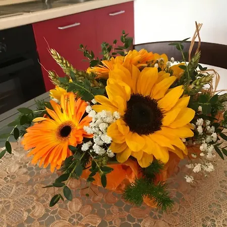 Appartamento Michelino