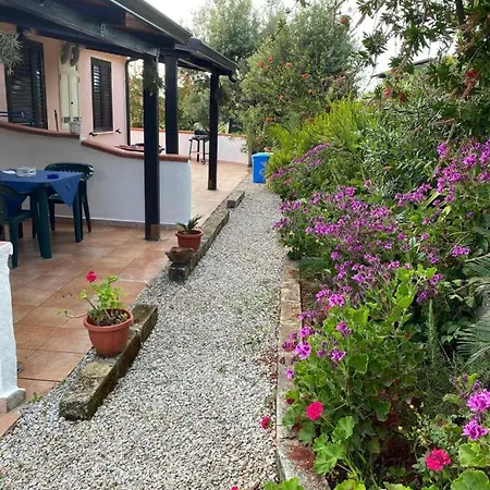 Michelino